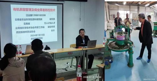 西盟縣農科服務團佤鄉傳授茶科技，信息技術咨詢服務助力鄉村全面振興
